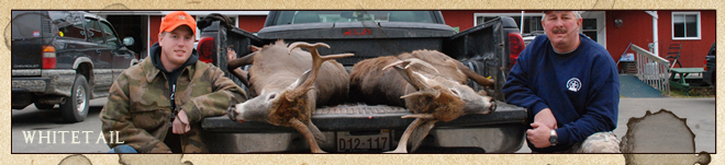 About Dyer Outfitters Hunts